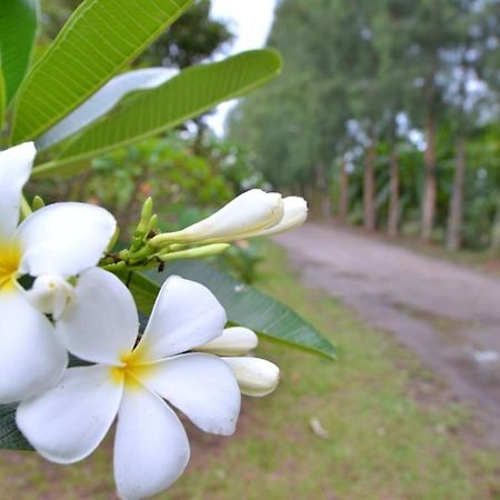 The Grand Jamjuree Resort 南奔 外观 照片
